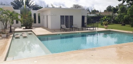 Voir photo principale annonce V085NGP