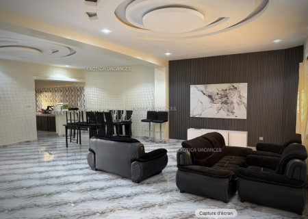 Image 4 de l'annonce