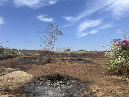 Image 3 de l'annonce