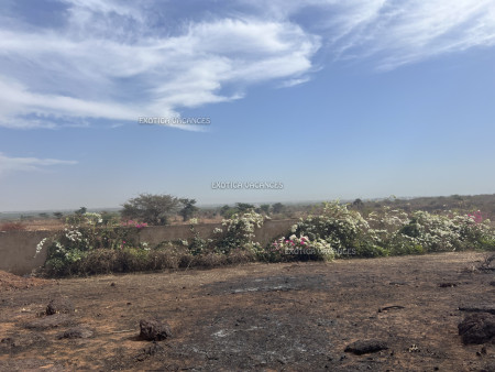 Image 5 de l'annonce