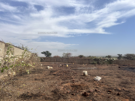 Image 4 de l'annonce