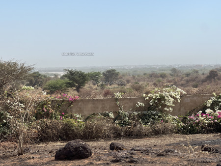 Image de l'annonce TGRO298