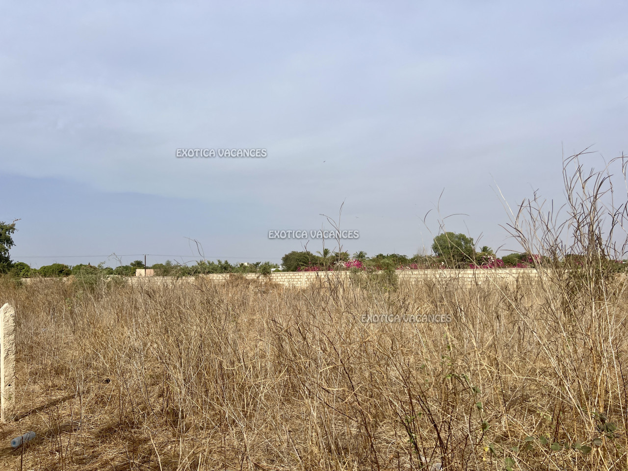 Immobilier paradisiaque au Sénégal