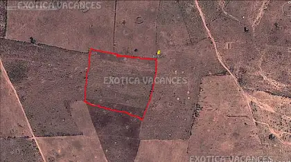 Image de l'annonce TNGK265