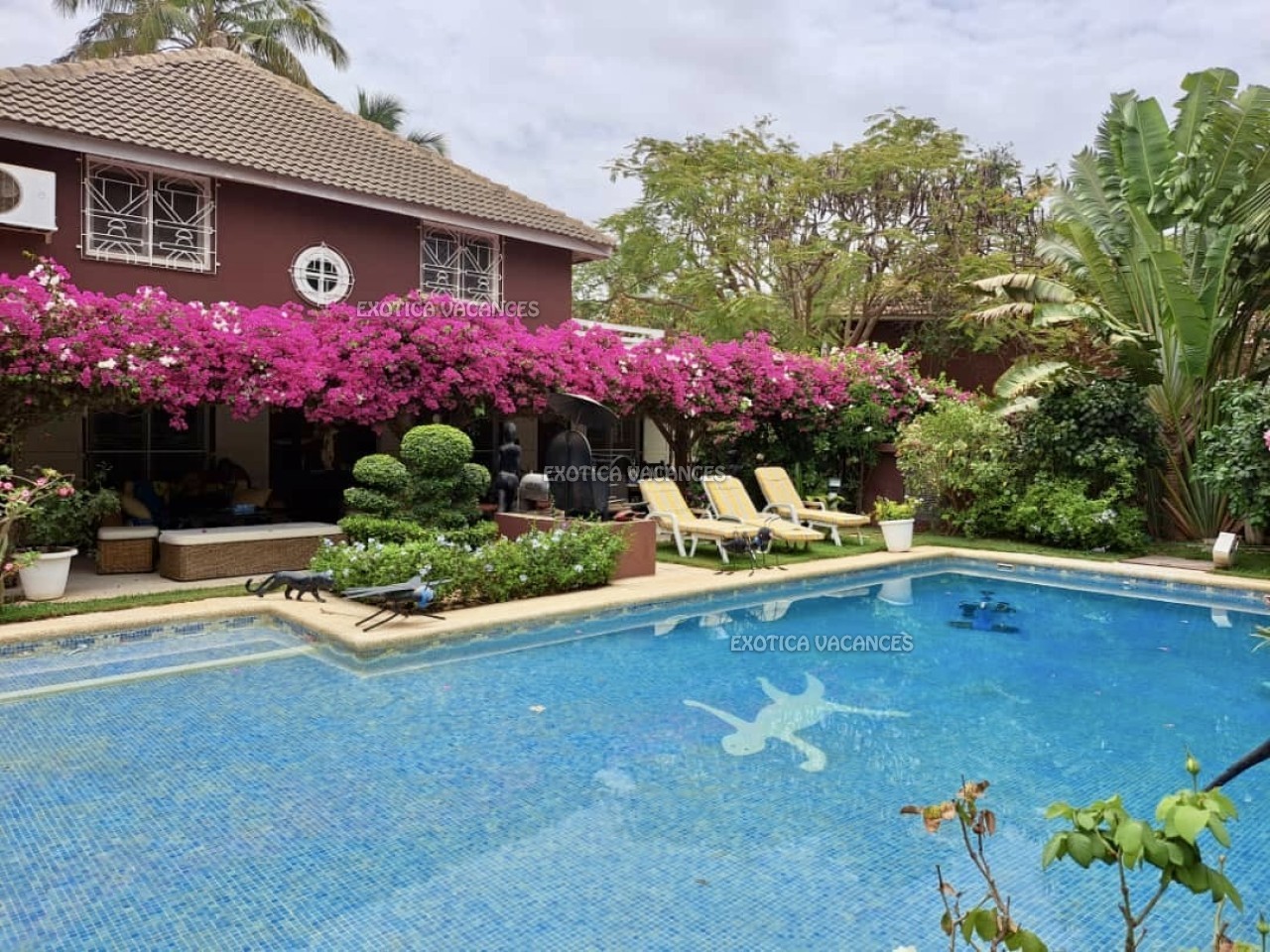 Immobilier paradisiaque au Sénégal