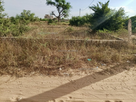 Image de l'annonce TKY294