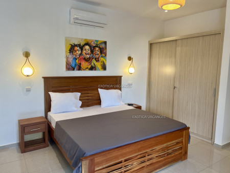 Image 4 de l'annonce