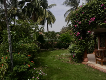 Image 3 de l'annonce