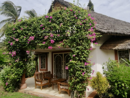 Image de l'annonce V31651TR