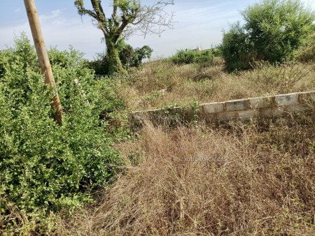 Image 3 de l'annonce