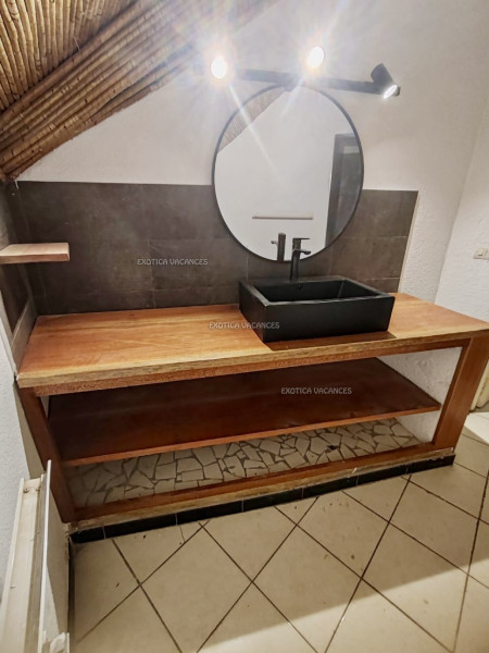 Image 9 de l'annonce