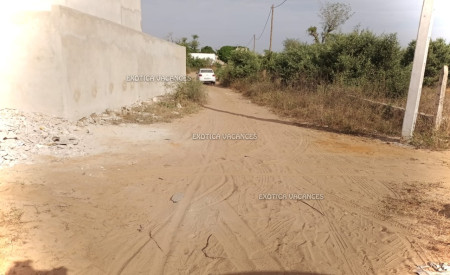 Image 4 de l'annonce