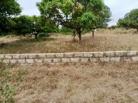 Image de l'annonce TKY293