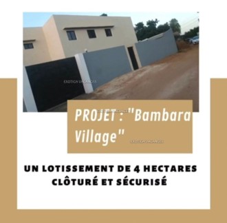 Image de l'annonce V015NG