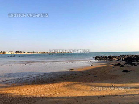 Image 8 de l'annonce
