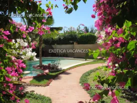 Villa à Saly à louer — photo 10