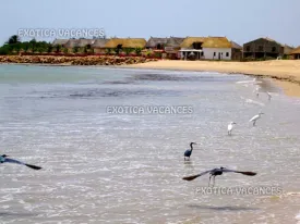 Villa à Saly à louer — plage 2