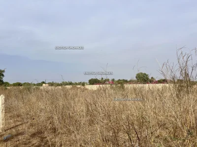 Terrain en vente à Nguerigne — réf. T299NG