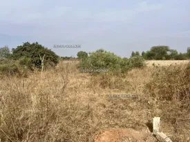 Terrain à Nguerigne en vente — photo 2