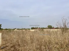 Terrain à Nguerigne en vente