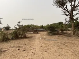 Terrain à Gandigal en vente — photo 4