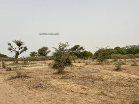 Terrain à Gandigal en vente