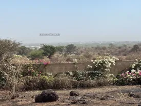 Terrain à Guéréo en vente