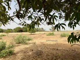 Terrain à Keur Gonde en vente — photo 3
