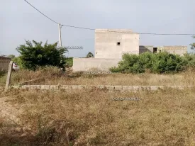 Terrain à Keur Youngars en vente — photo 2