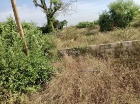 Terrain à Keur Youngars en vente — photo 3