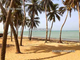 Terrain à Mbour en vente — photo 3