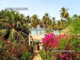 Terrain à Mbour en vente — photo 4