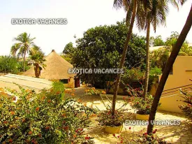 Terrain à Mbour en vente — photo 6