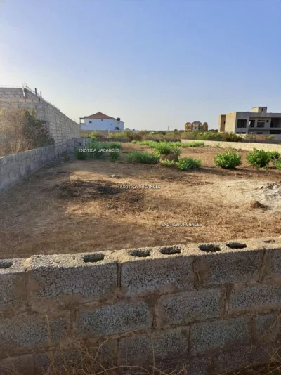 Terrain en vente à Ndiorokh — réf. TNDR286
