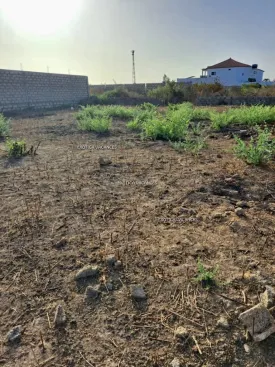 Terrain à Ndiorokh en vente — photo 2