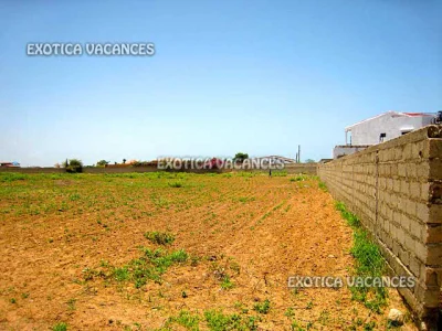 Terrain en vente à Nguerigne — réf. TNG274