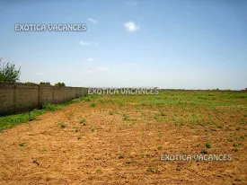 Terrain à Nguerigne en vente — photo 2