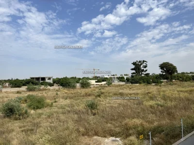 Terrain en vente à Nguerigne — réf. TNG292