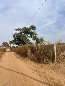 Terrain à Nguerigne en vente — photo 4