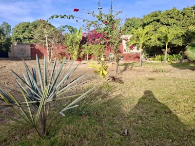 Terrain à vendre à Nguerigne — réf. TNG301