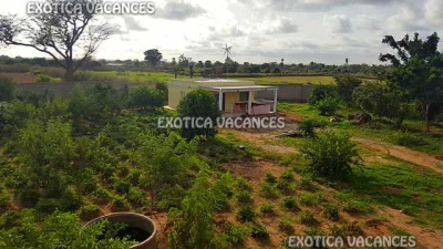 Terrain en vente à Nguekhokh — réf. TNGK264
