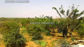 Terrain à Nguekhokh en vente — photo 2