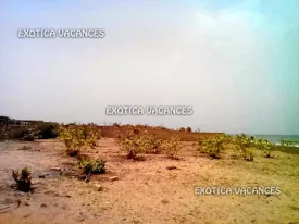 Terrain à Warang en vente