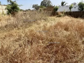 Terrain à Warang en vente — photo 3