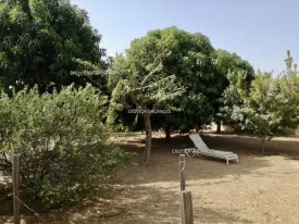 Villa à Mbodienne en vente — photo 10