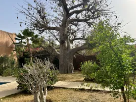 Villa à Saly en vente — piscine 3